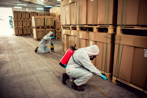 Best Wildlife Control Services  in New Castle Northwest, PA