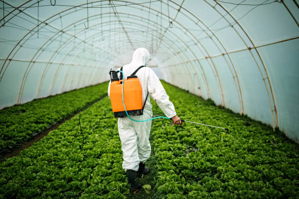 Best Affordable Pest Control Services  in New Castle Northwest, PA