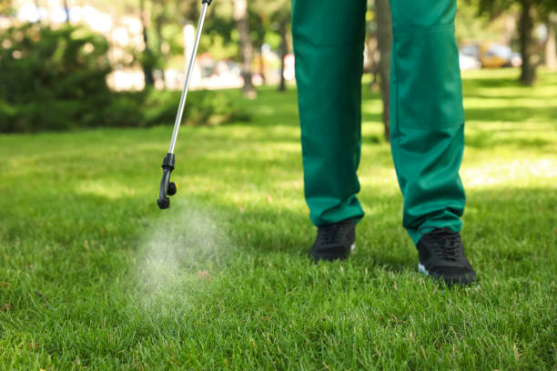 Best Exterminator Services  in New Castle Northwest, PA