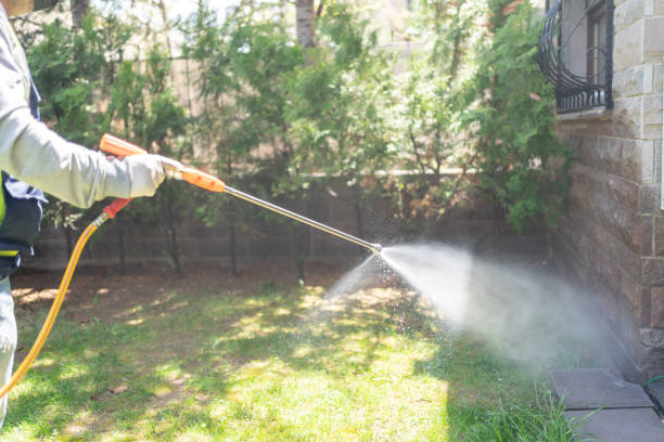 Best Insect Control  in New Castle Northwest, PA