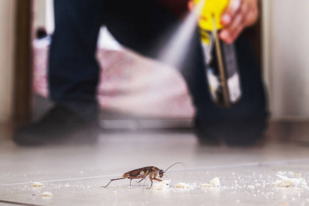 Pest Prevention Services in New Castle Northwest, PA