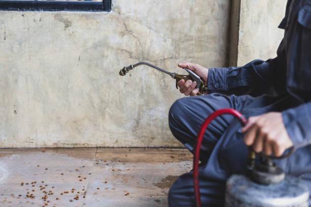 Best Mosquito Control Services  in New Castle Northwest, PA
